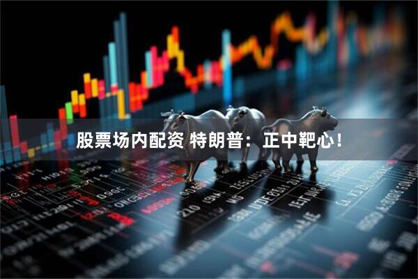 股票场内配资 特朗普：正中靶心！
