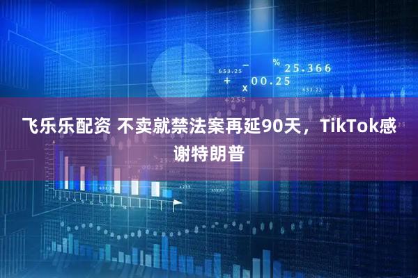 飞乐乐配资 不卖就禁法案再延90天，TikTok感谢特朗普