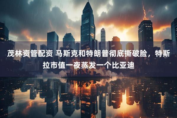 茂林资管配资 马斯克和特朗普彻底撕破脸，特斯拉市值一夜蒸发一个比亚迪