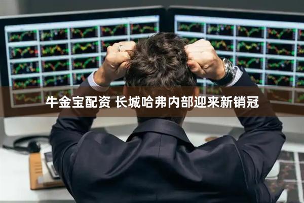 牛金宝配资 长城哈弗内部迎来新销冠