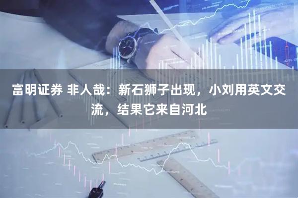 富明证券 非人哉：新石狮子出现，小刘用英文交流，结果它来自河北