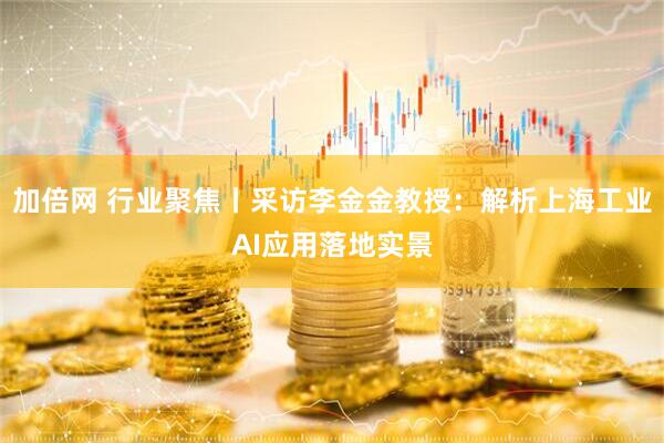 加倍网 行业聚焦丨采访李金金教授：解析上海工业AI应用落地实景