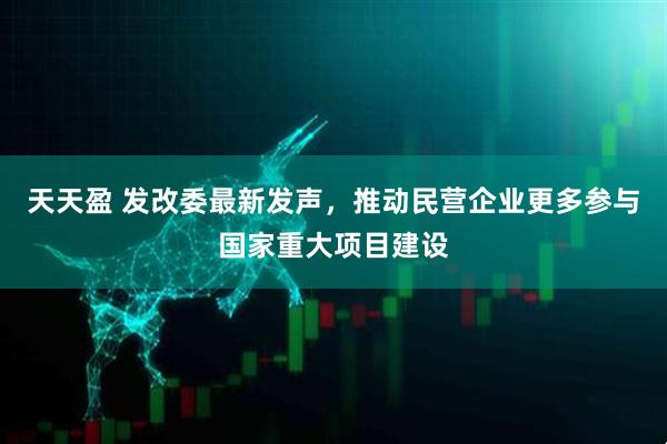 天天盈 发改委最新发声，推动民营企业更多参与国家重大项目建设